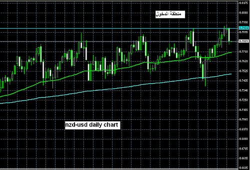 NZDUSD 2 2008.PNG‏