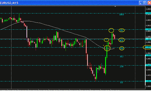 Eur Fibo.GIF‏