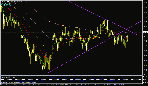 cadjpy.gif‏