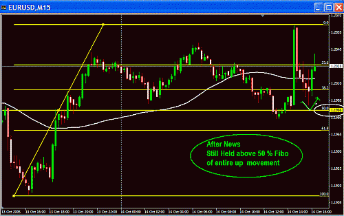 Eur Fibo.GIF‏