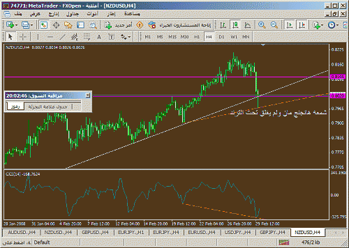 nzd2.gif‏