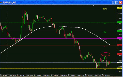 Eur Fibo.GIF‏