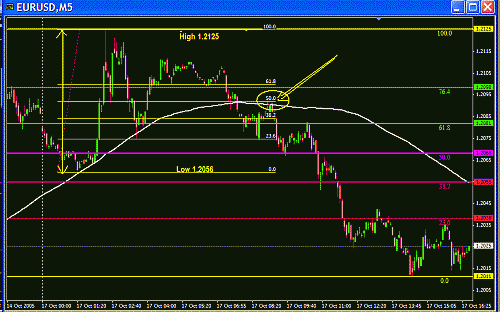 Eur Fibo.GIF‏