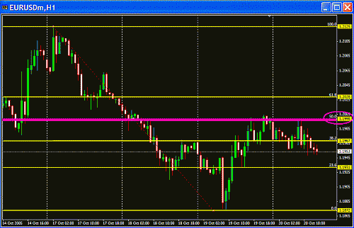 Eur Fibo.GIF‏