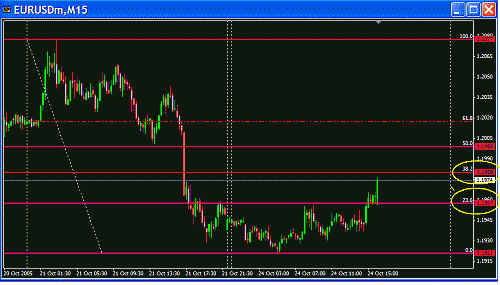 Eur Fibo.GIF‏