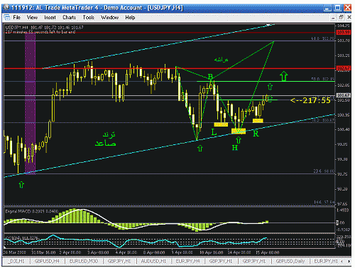 jpy13.gif‏