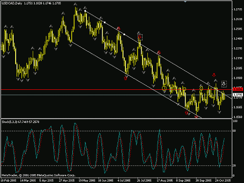 usdcad.gif‏