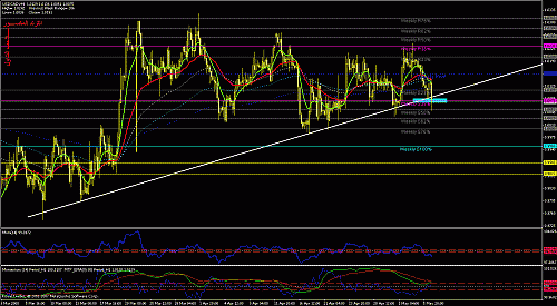 usdcad.gif‏