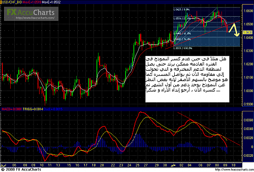 Copy of Chart1.PNG‏