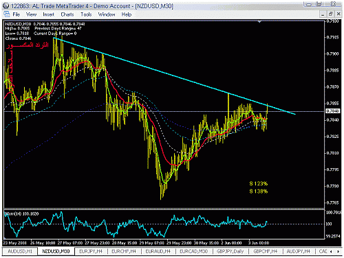 nzd.gif‏