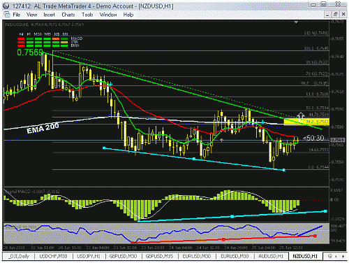 nzd.gif‏