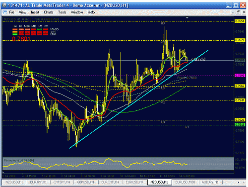 nzd.gif‏