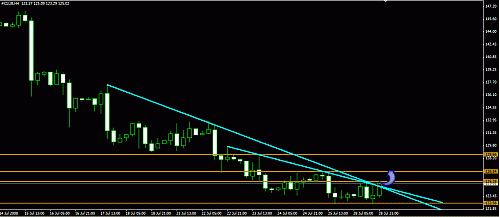 crude oil 29-07-2008.gif‏