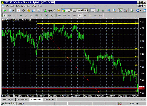 ayman_nzd.gif‏