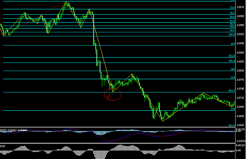 fibo pound 1.PNG‏