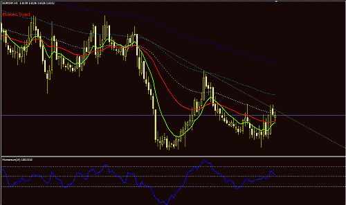 EURCHF H1.GIF‏