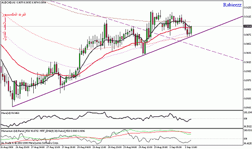 audcadh1.gif‏