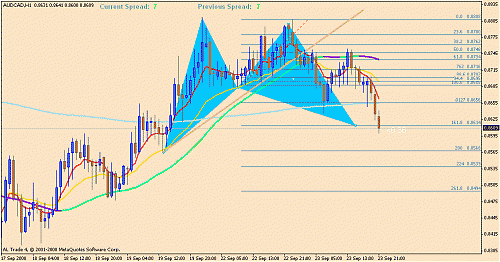 audcad2.gif‏