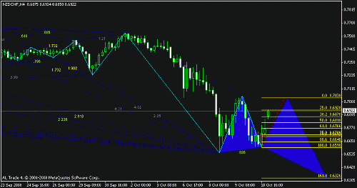 nzdchf.gif‏