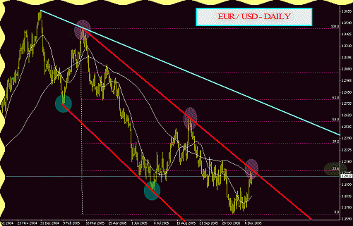 EURUSD D.gif‏