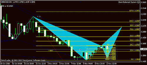 usd_cadh41.gif‏