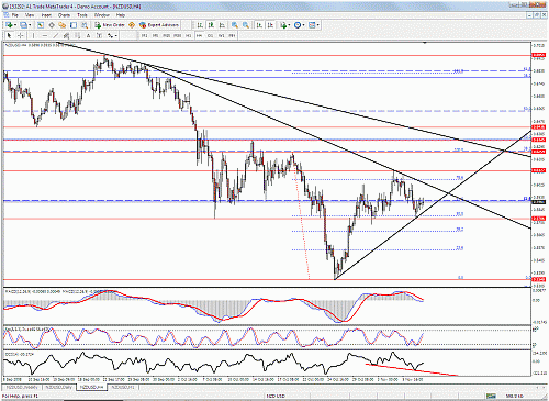 nzd4h.gif‏