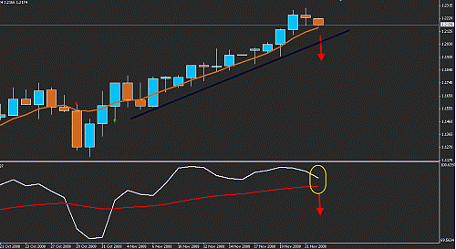 usdcgf.gif‏