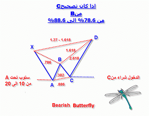 2897_bearish butterfly c.gif‏