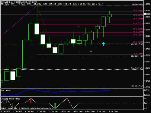 kiwi daily.gif‏