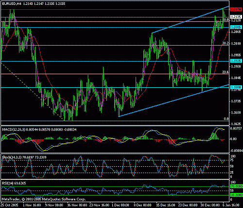 eur-usd-09-01-2006.gif‏