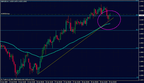 pound3.gif‏