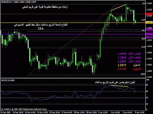 eurusd992006.gif‏