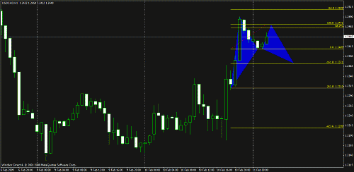 usdcsdham.gif‏