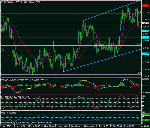 eur-usd-13-01-2006.gif‏