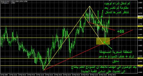 EURAUD 20-2-2009_A.jpg‏