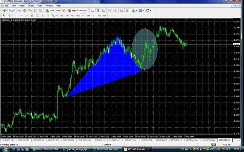 nzd.jpg‏