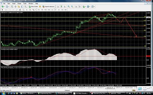 nzd.jpg‏