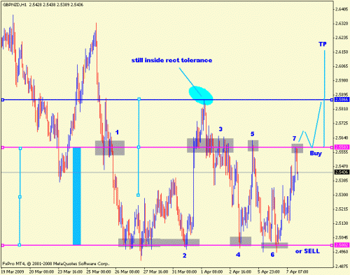 7-gbp-nzd count-chehab.GIF‏