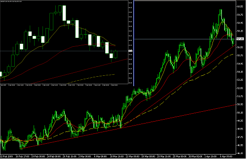 nzd.png‏