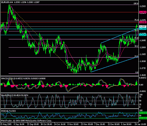 eur-usd-24-01-2006.gif‏