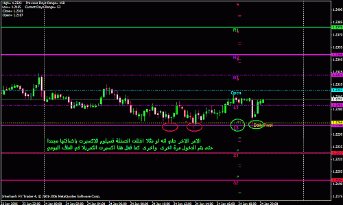 eur daily.gif‏