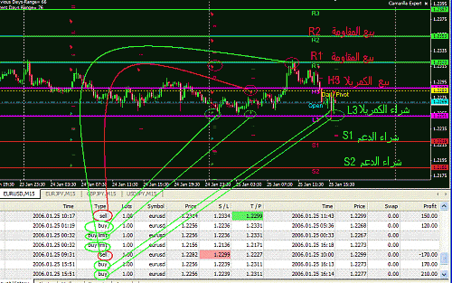 eur daily.gif‏