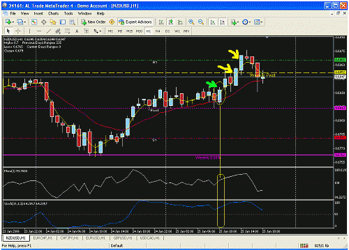 nzd2.gif‏