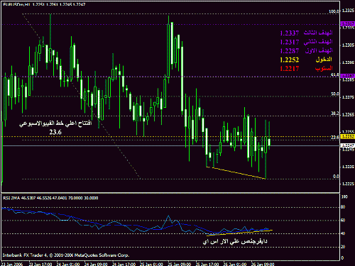 eurusd2612006.gif‏