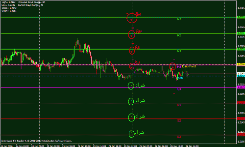 eur daily.gif‏