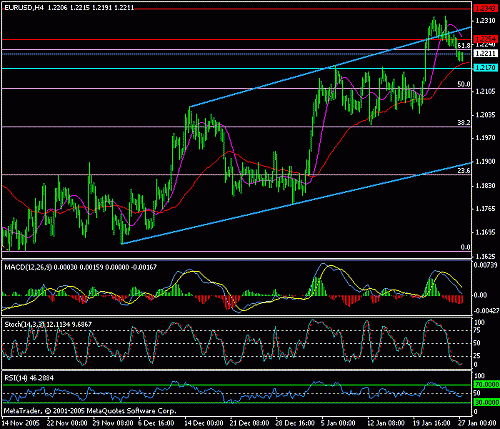 eur-usd-27-01-2006.gif‏