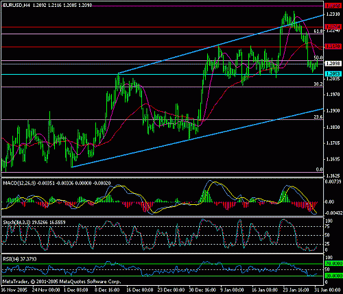 eur-usd-31-01-2006.gif‏