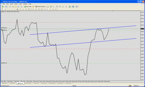 gbp.gif‏