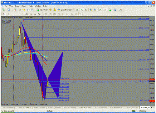 nzdchf.gif‏