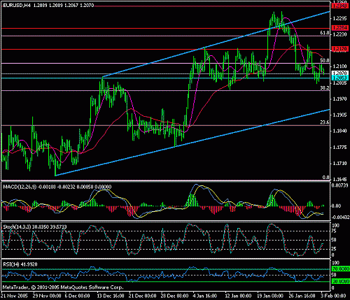 eur-usd-03-02-2006.gif‏